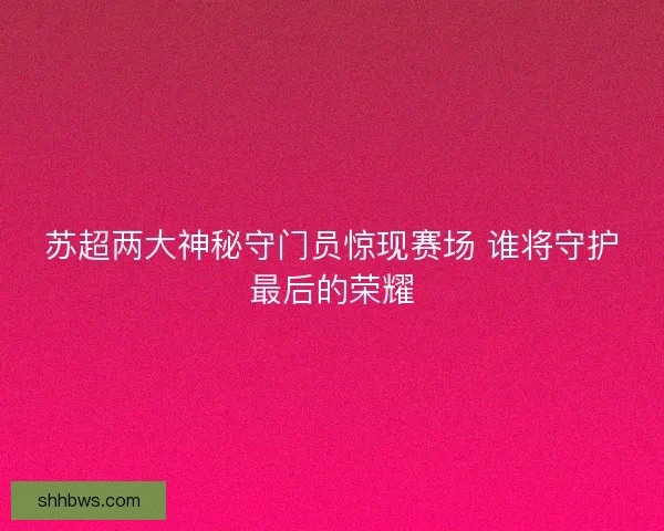 苏超两大神秘守门员惊现赛场 谁将守护最后的荣耀